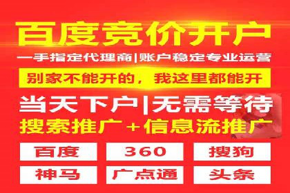 百度SEM广告策略在电商行业的成功案例